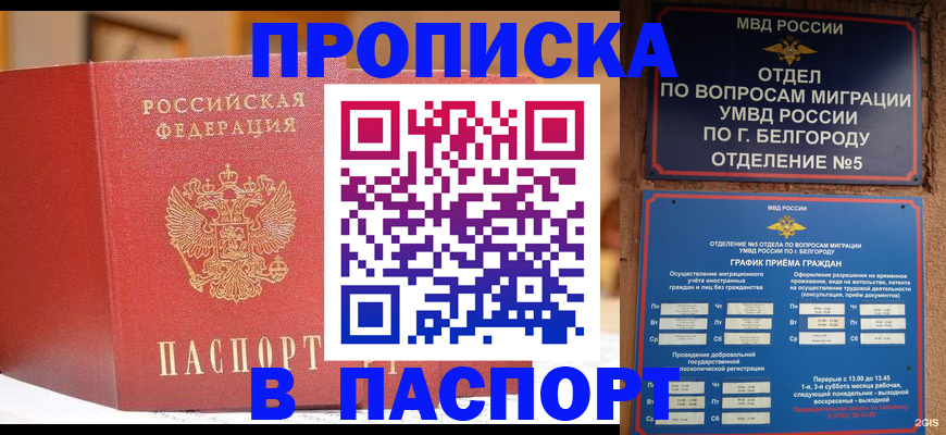 временная регистрация в квартире в Кировске